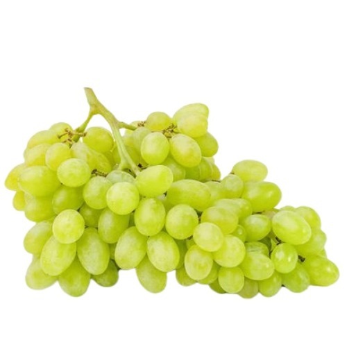 Green Grapes : Nashik